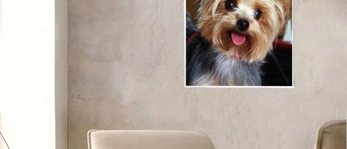 broderie diamant chien, chien en broderie souriant, meilleur broderie diamant chien, kit broderie diamant chien